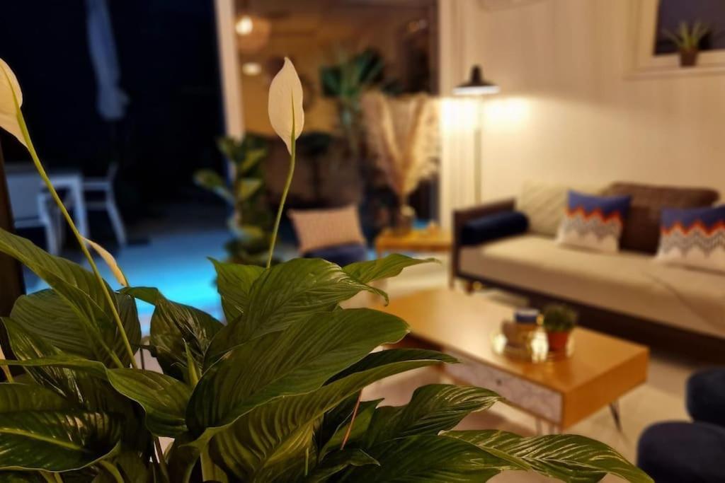 Suite Prestige Logement Neuf Avec Spa Et Ecran De Cinema En Rez De Jardin Κολμάρ Εξωτερικό φωτογραφία