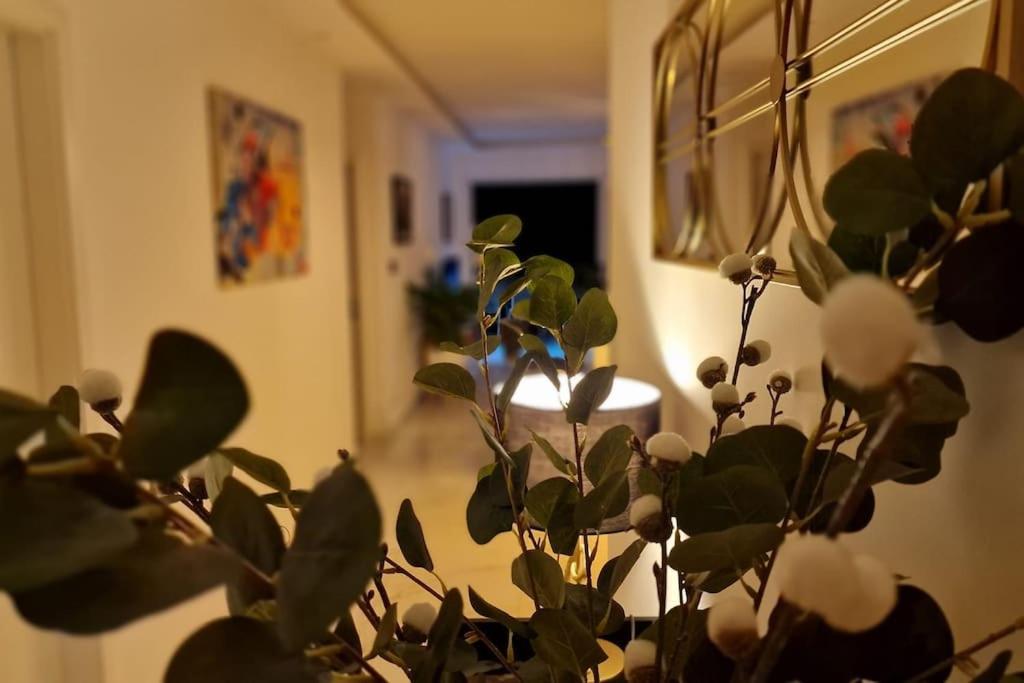 Suite Prestige Logement Neuf Avec Spa Et Ecran De Cinema En Rez De Jardin Κολμάρ Εξωτερικό φωτογραφία